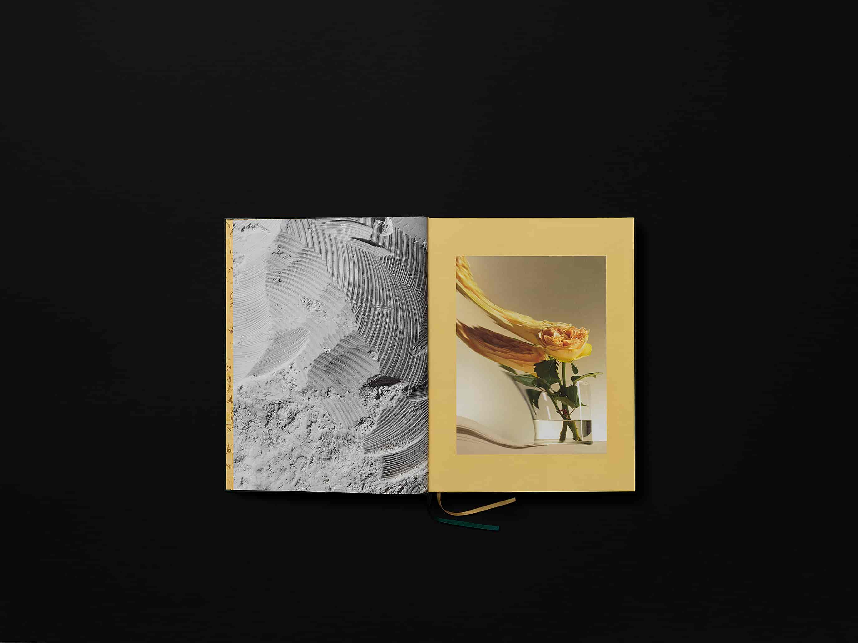 Champagne Magnum Opus, Deluxeutgåva Champagne Magnum Opus, Deluxeutgåva